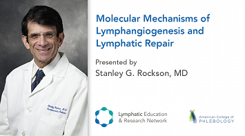 Molecular Mechanisms of Lymphangiogenesis and Lymphatic Repair thumbnail Photo