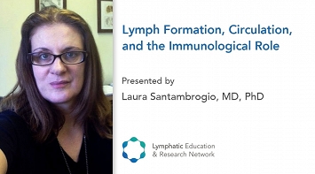 Lymph Formation, Circulation, and the Immunological Role thumbnail Photo