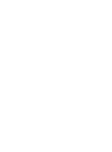 Globe Wireframe