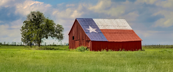 Texas Golden Crescent Region Chapter