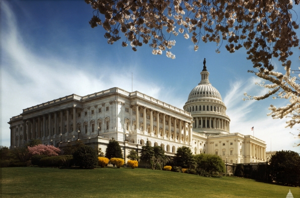 2019 U.S. Senate Minibus Bill Update